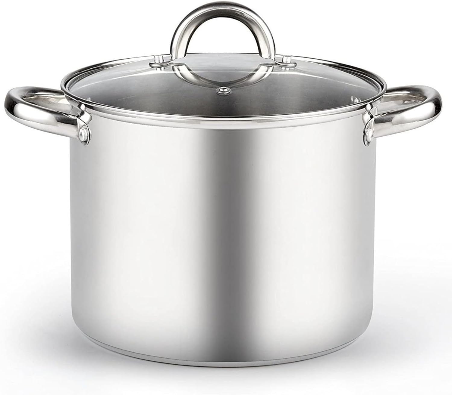 8 Quart Stainless Steel Stockpot with Lid